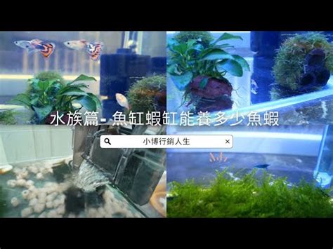 魚缸水量計算公式|【魚缸計算水量】魚缸水量誤差大？快用「魚缸計算水量」神器，。